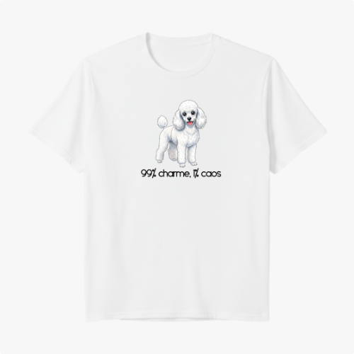 Camiseta Regular Premium "99% charme 1% caos" (vertical)