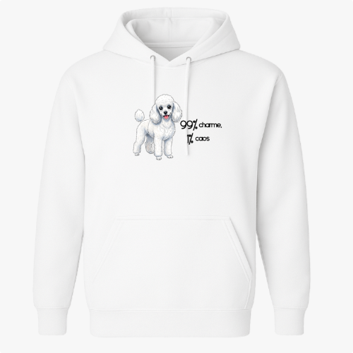 Moletom com Capuz “99% charme 1% caos”