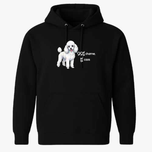 Moletom com Capuz “99% charme 1% caos”