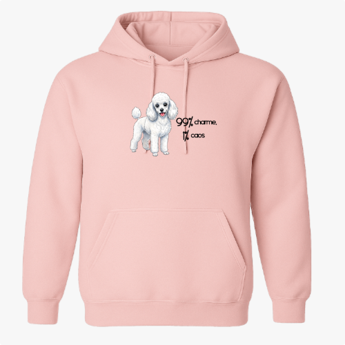 Moletom com Capuz “99% charme 1% caos”