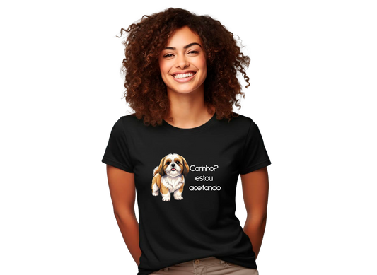 Camiseta Regular Premium "Carinho? Estou aceitando" (horizontal)